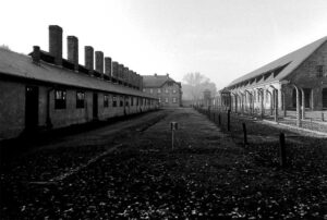 Auschwitz Sarah Rjfka Cjmbel 27 gennaio giorno memoria